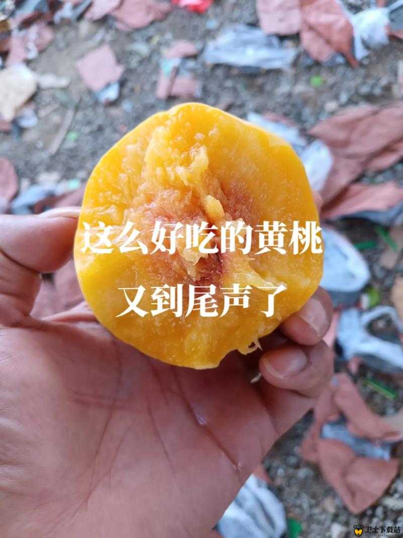 9612黄桃网站手机据说可以让你告别烦恼：真有这么神奇吗